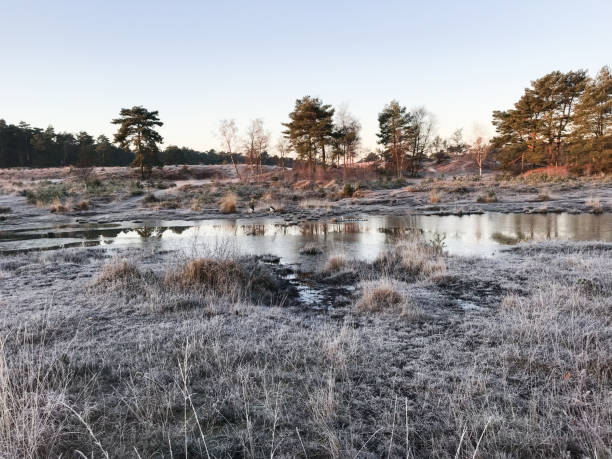 istock Mystic winter wetland 1081900364