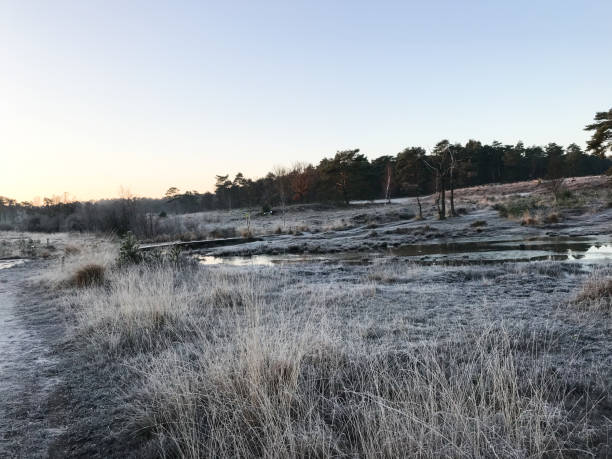 istock Mystic winter wetland 1081900372