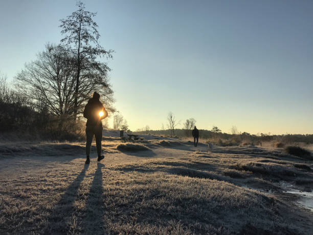 istock Mystic winter wetland 1081900836