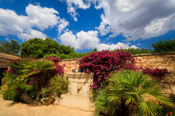 Garden with flowers in bloom on stone pedestals