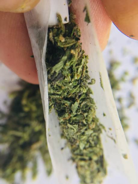 istock Medical cannabis 1081914796