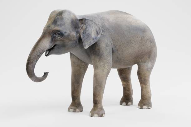 istock Realistic 3D Render of Asian Elephant - Female 1081920242