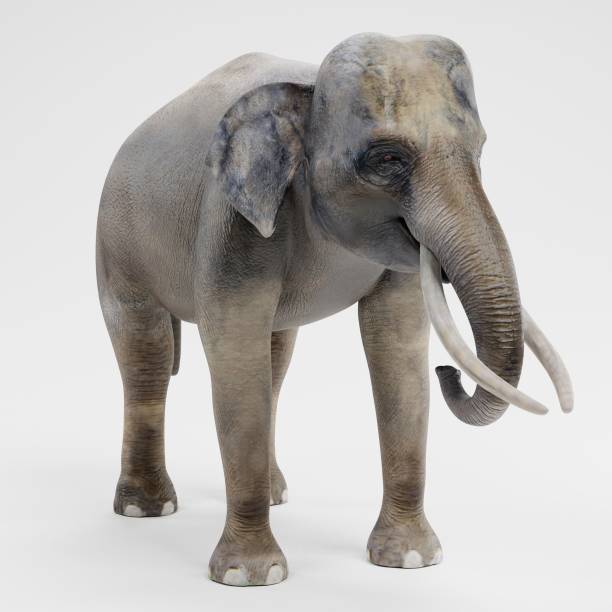 istock Realistic 3D Render of Asian Elephant - Male 1081920244