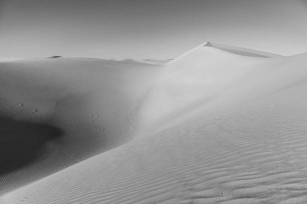 istock sand dune in sunrise in the desert 1081926354