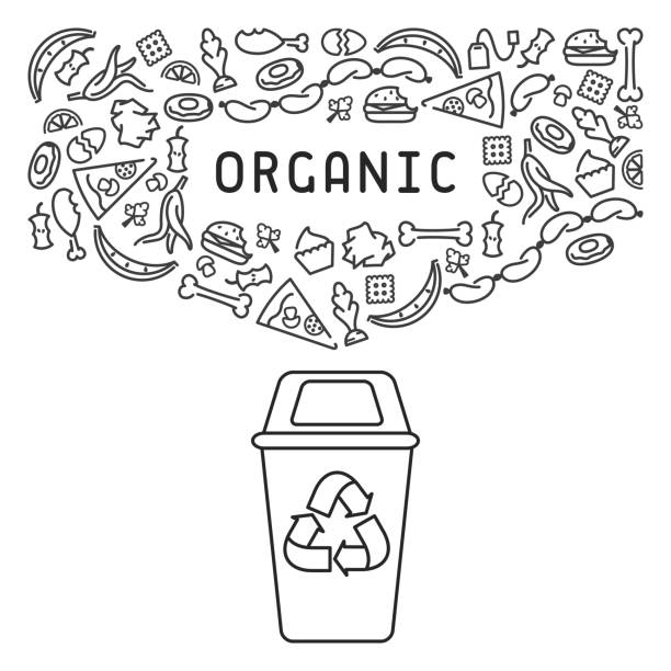 illustrazioni stock, clip art, cartoni animati e icone di tendenza di illustrazione organica della spazzatura - spreco alimentare