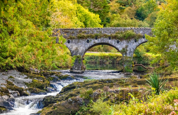 istock Old bridge (1777), Sheen Falls, Kenmare, County Kerry, Ireland 1081929566