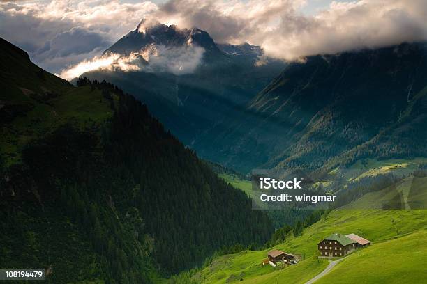 Spring Wiese In Der Nähe Der Kaiser Stockfoto und mehr Bilder von Alm - Alm, Bundesland Tirol, Blume