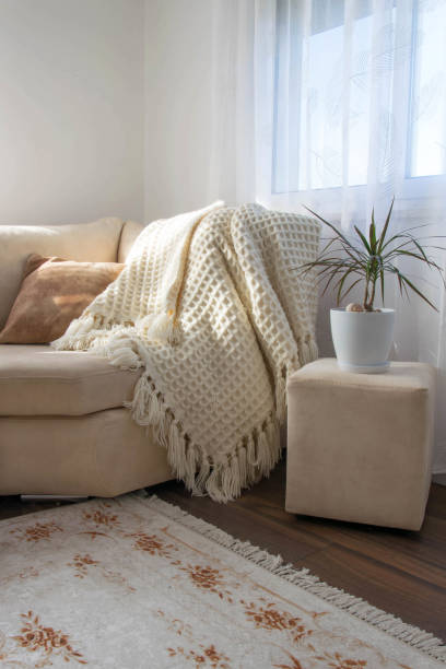 istock Stylish brightly interior of living room. Inviting comfortable sofa with handmade woolen blanket. Comfortable place for reading or relaxing in Scandinavian style 1081945000