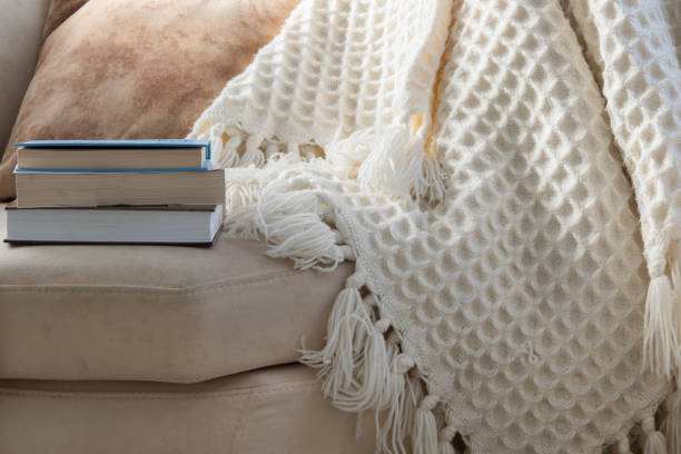 istock Stylish brightly interior of living room. Inviting comfortable sofa with handmade woolen blanket and books. Comfortable place for reading or relaxing in Scandinavian style 1081945006