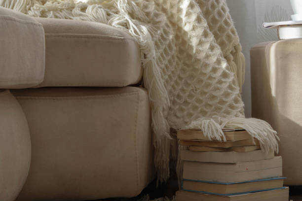 istock Stylish brightly interior of living room. Inviting comfortable sofa with handmade woolen blanket and books. Comfortable place for reading or relaxing in Scandinavian style 1081945054