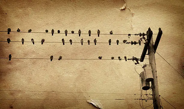 Photo of Birds on Telephone Line Overlayed with Grunge Brown Paper