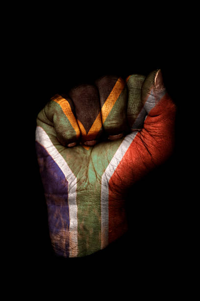 Clenched Fist with South African Flag Painted, Isolated on Black Image of a clenched fist with the flag of South Africa painted on it. south africa flag stock pictures, royalty-free photos & images
