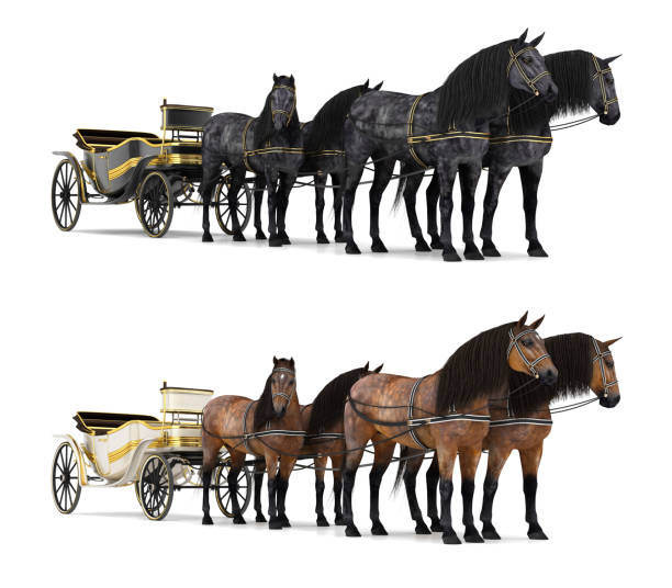 istock Four horses harnessed to a black carriage. 1081947362