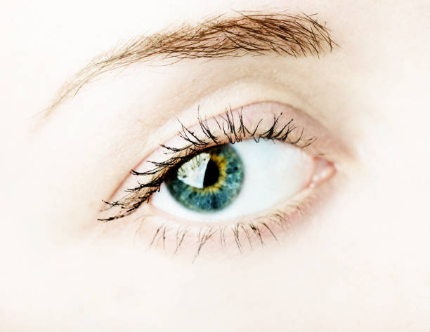 istock Female eye with long eyelashes 1081947514