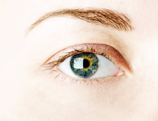 istock Female eye with long eyelashes 1081947522