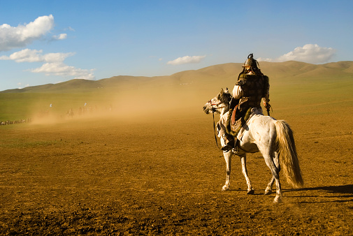 A wild horse wanders through the steppe landscape of Mongolia and grazes on the green pastures of the country