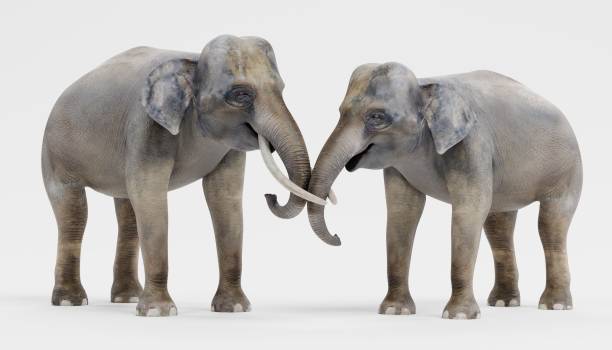 istock Realistic 3D Render of Asian Elephants 1081948256