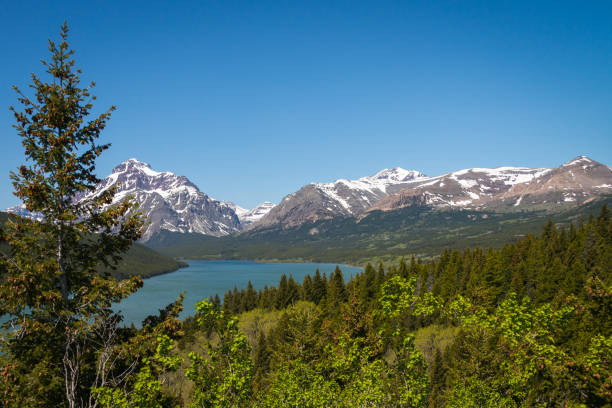 istock Pine tree blue lake snow covered mountains landscape 1081948306