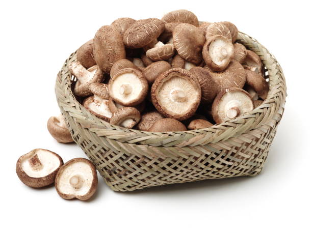 istock Shiitake mushroom  isolated on white background 1081949566