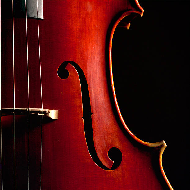 cello stock photo