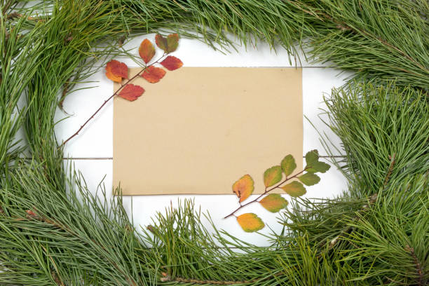 istock Christmas Greeting Card 1081951030
