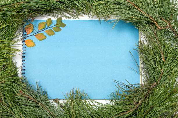 istock Christmas Greeting Card 1081951082
