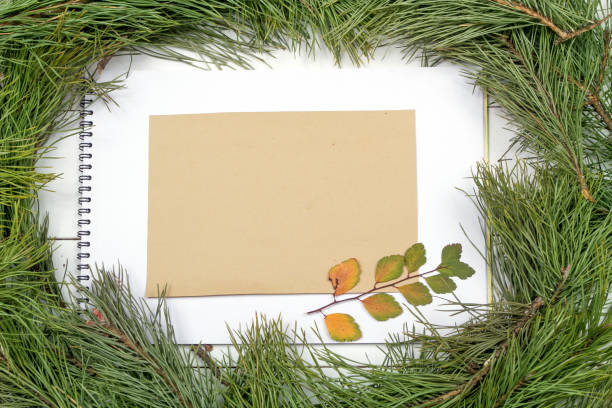istock Christmas Greeting Card 1081951348