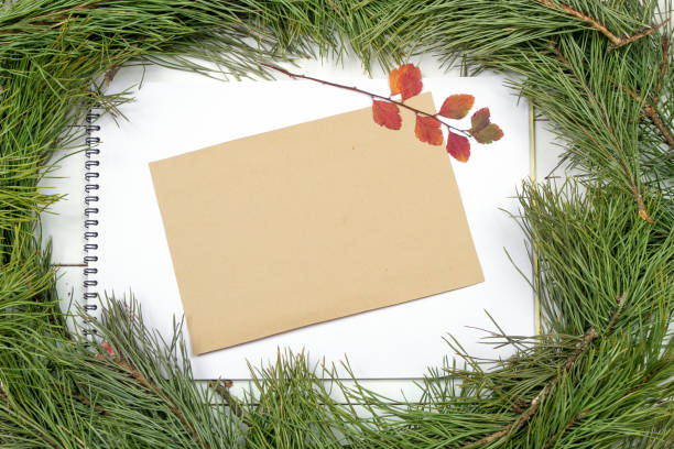 istock Christmas Greeting Card 1081951440