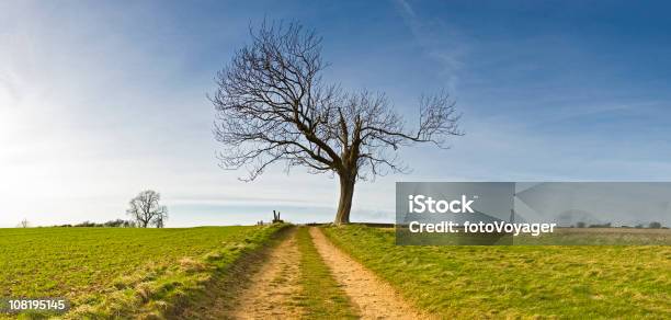 Pista A Tierra Horizonte De Árbol Foto de stock y más banco de imágenes de Agricultura - Agricultura, Aire libre, Aislado