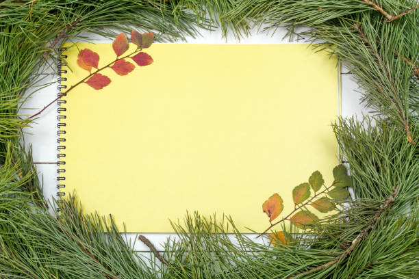 istock Christmas Greeting Card 1081951458