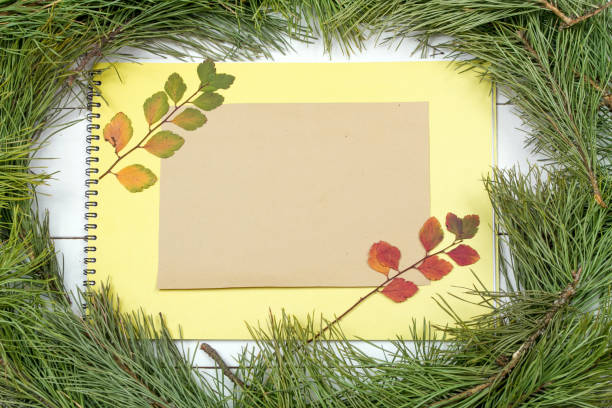 istock Christmas Greeting Card 1081952540