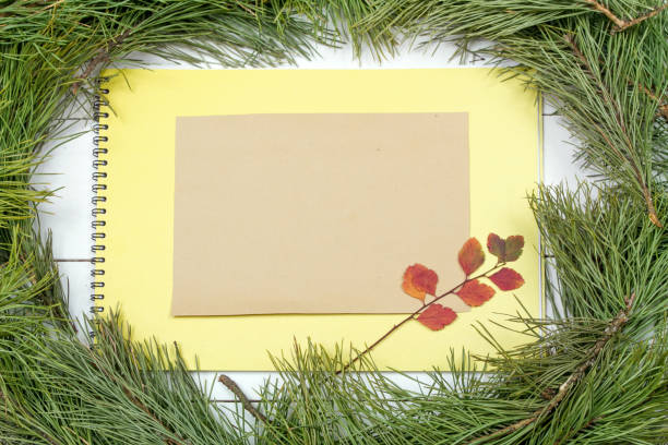 istock Christmas Greeting Card 1081952582