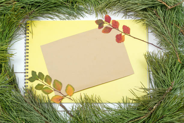 istock Christmas Greeting Card 1081952628