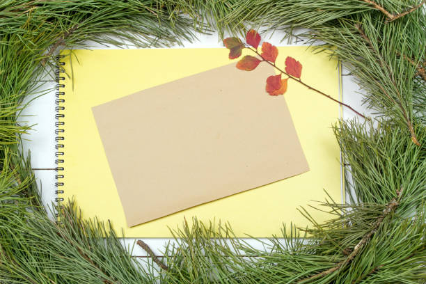 istock Christmas Greeting Card 1081952652