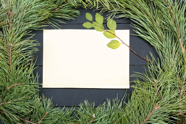 istock Christmas Greeting Card 1081952688