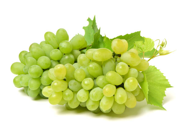 istock Isolated grapes. White and green grapes on the leaves. 1081952690