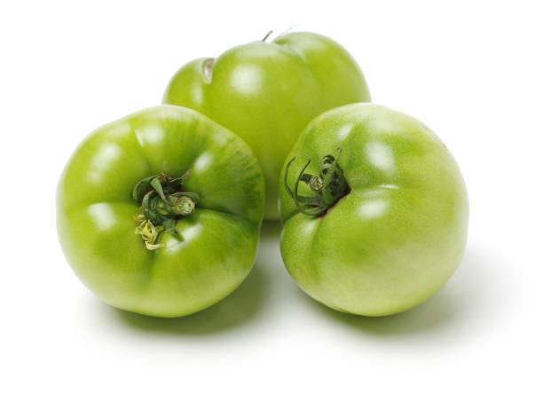 Green ripe tomatoes   on white background stock photo