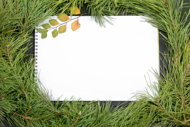 Christmas Greeting Card