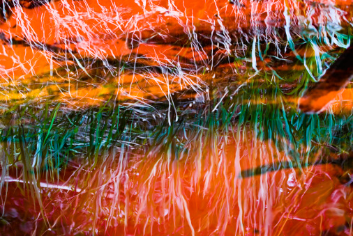 Selective focus in the mirror reflected grass. This image HAS NO COLOR FILTERS.  Was taken at the Churum river in Auyan Tepuy, Venezuela. Green reflections are due to shadows in the flowing water. Orange reflections are due to the natural color of this river water that goes later to the Angel Falls.\n\nBackground Abstracts\n\nSee my Lightbox about:\n[url=http://www.istockphoto.com/my_lightbox_contents.php?lightboxID=7669510] Background Abstracts[/url]\n\n[url=http://www.istockphoto.com/my_lightbox_contents.php?lightboxID=7669510][img]http://www.apg-art.com/thumbs/backgrounds.jpg[/img][/url]\n\nSee also my Lightbox: [url=http://www.istockphoto.com/my_lightbox_contents.php?lightboxID=7711033] Auyantepuy Table Top Mountain - Venezuela[/url]\n\n[url=http://www.istockphoto.com/my_lightbox_contents.php?lightboxID=7711033][img]http://www.albertopomares.com/thumbs/auyantepuy.jpg[/img][/url]
