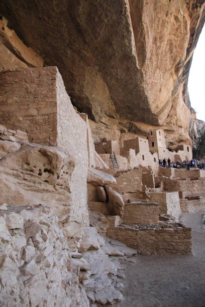 cliff palace à mesa verde dans le colorado - ancient pueblo peoples photos et images de collection