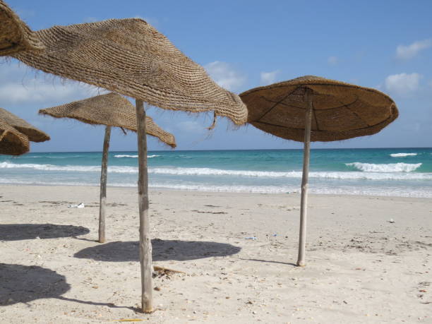 istock Umbrellas on the sandy beach in Tunisia. 1081953958