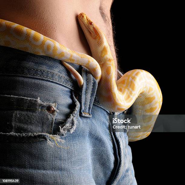 Gürtel Aus Snake Stockfoto und mehr Bilder von Schlange - Kriechtier - Schlange - Kriechtier, Jeans, Jeansstoff