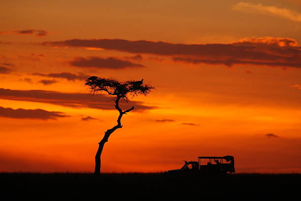 istock SIlhouette of African Safari Vehicle during Sunset 108195521