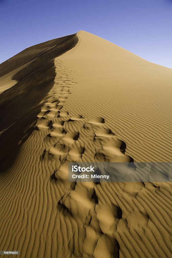 Huellas en la Duna de arena - Foto de stock de Desierto libre de derechos