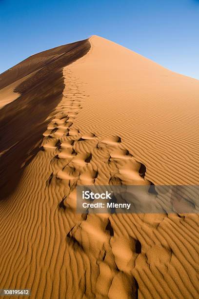 Huellas En La Duna De Arena Foto de stock y más banco de imágenes de Desierto - Desierto, Aire libre, Alto - Descripción física