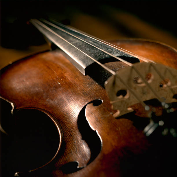 Close-up of Violin Strings and Body, Low Key stock photo