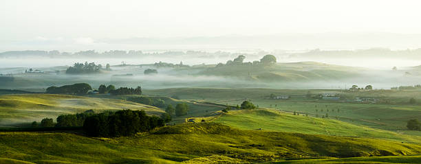 Morning Panorama Early morning mist among the hills in a rural part of New Zealand's North Island.

[url=file_closeup.php?id=10897463][img]file_thumbview_approve.php?size=2&id=10897463[/img][/url] 
[url=file_closeup.php?id=5202774][img]file_thumbview_approve.php?size=2&id=5202774[/img][/url] 
[url=file_closeup.php?id=5602173][img]file_thumbview_approve.php?size=2&id=5602173[/img][/url] 
[url=file_closeup.php?id=1758709][img]file_thumbview_approve.php?size=2&id=1758709[/img][/url] 
[url=file_closeup.php?id=1810552][img]file_thumbview_approve.php?size=2&id=1810552[/img][/url] north island new zealand stock pictures, royalty-free photos & images