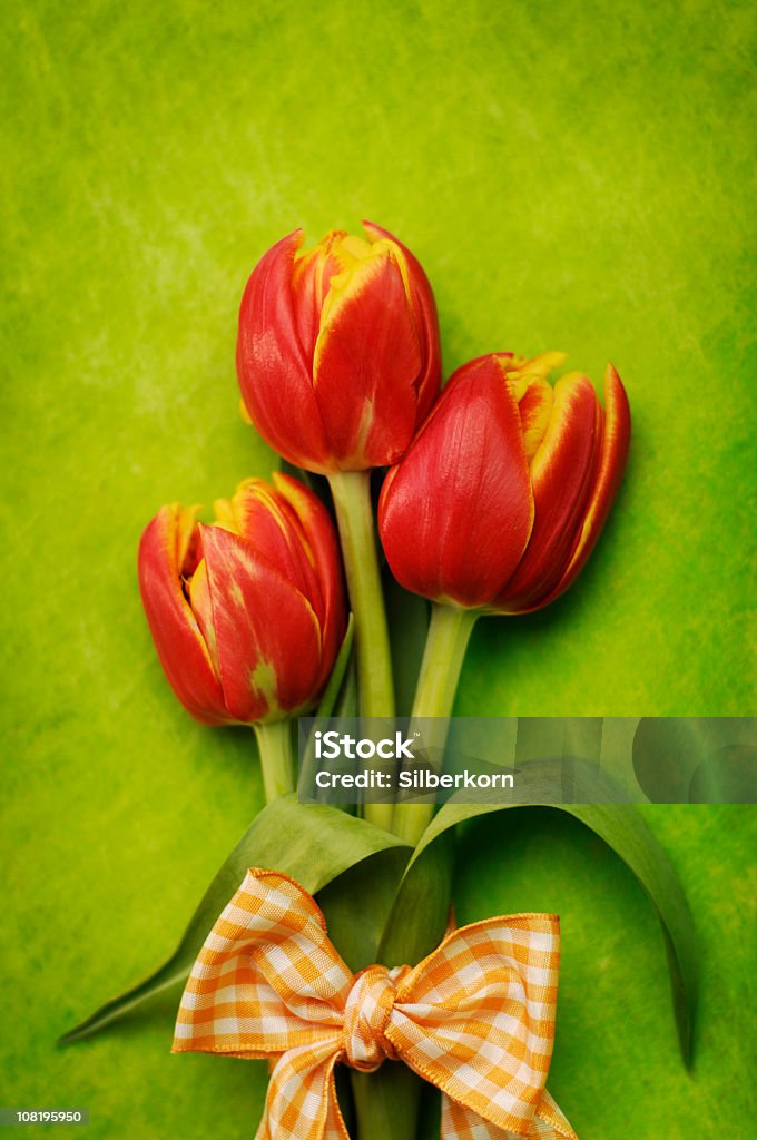 Rote Tulpen - Lizenzfrei Blume Stock-Foto