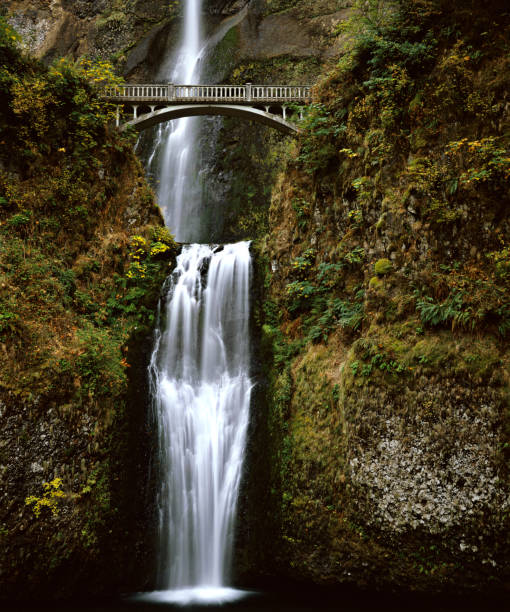 istock Bridge Crossing Multnomah Falls Waterfall in Columbia River Gorge 108196068