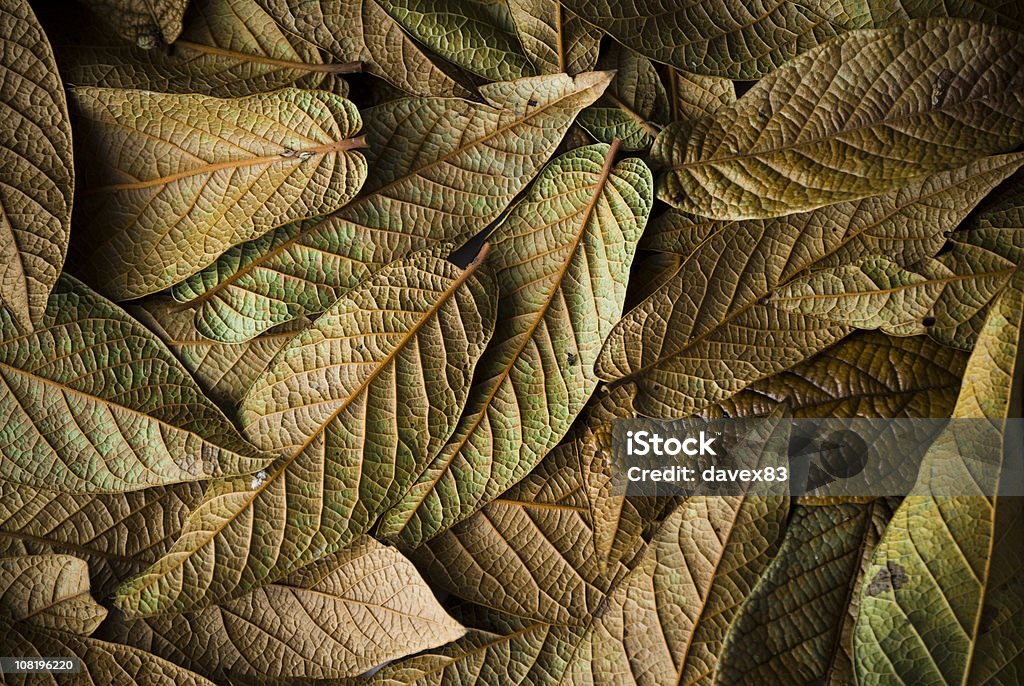 Pila di foglie secche - Foto stock royalty-free di Autunno